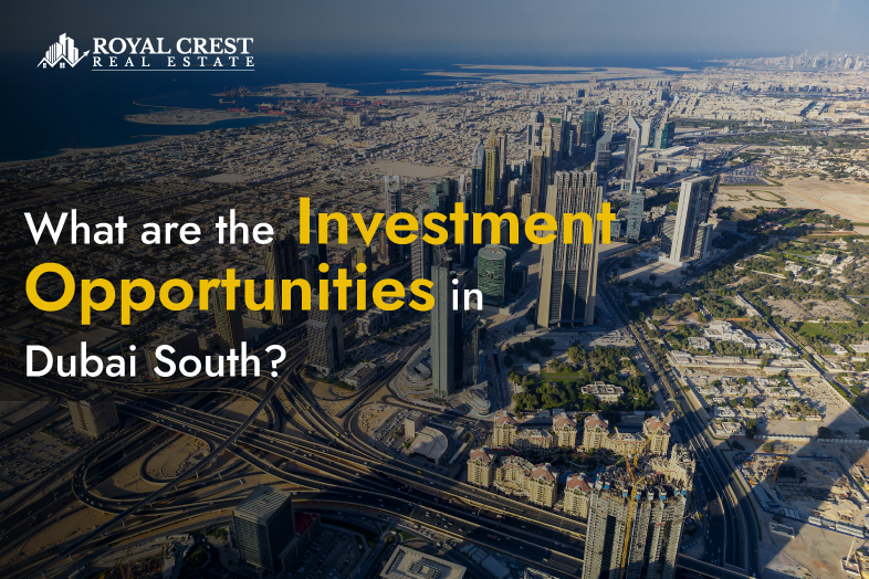 What are the Investment Opportunities in Dubai South?